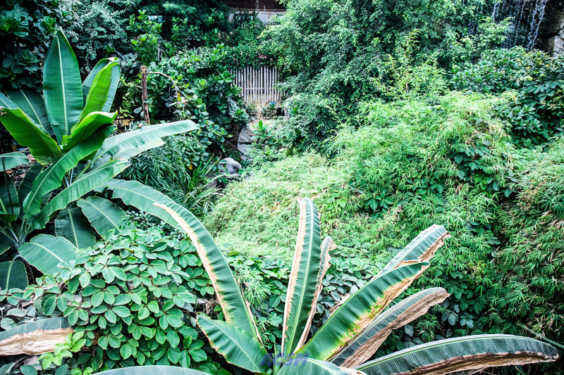 acsm_zoo0027