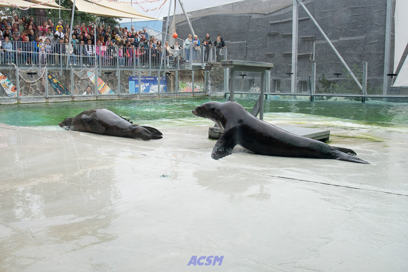 acsm_zoo0116