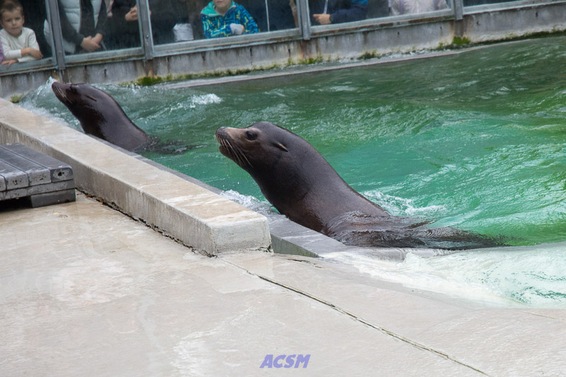 acsm_zoo0117