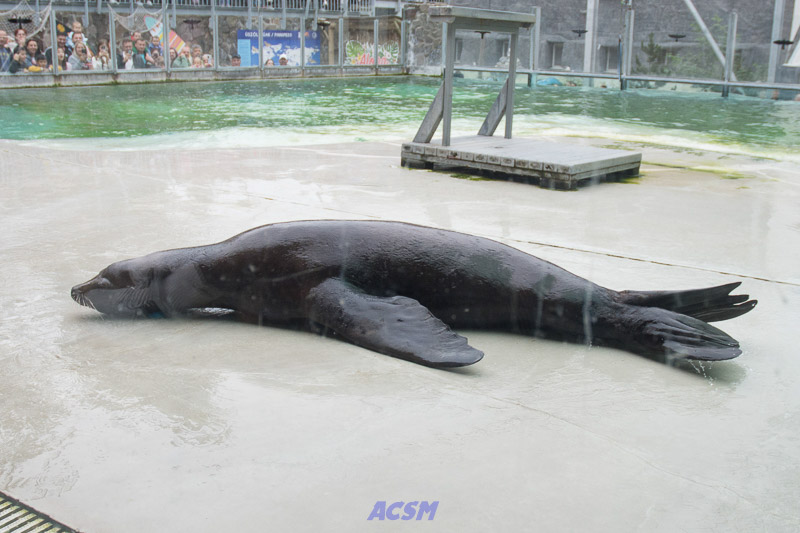 acsm_zoo0118