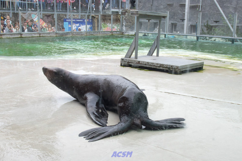 acsm_zoo0119