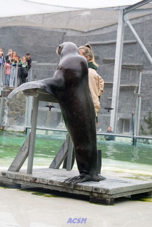 acsm_zoo0120