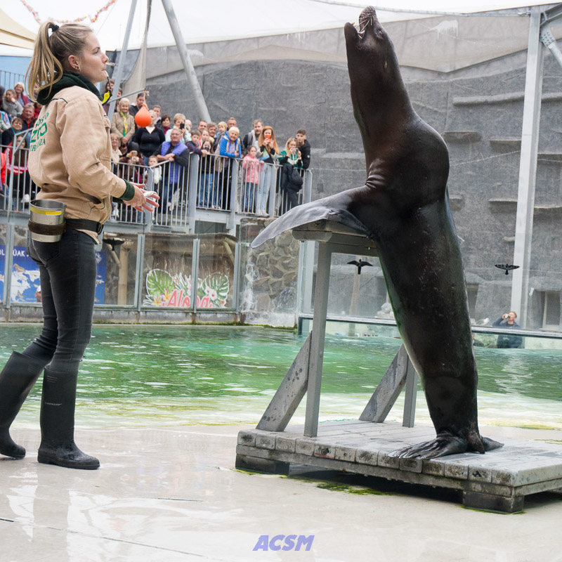 acsm_zoo0121