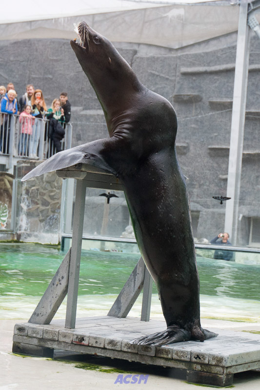 acsm_zoo0122