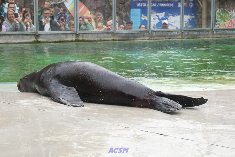 acsm_zoo0123