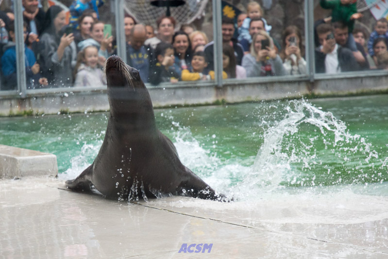 acsm_zoo0124