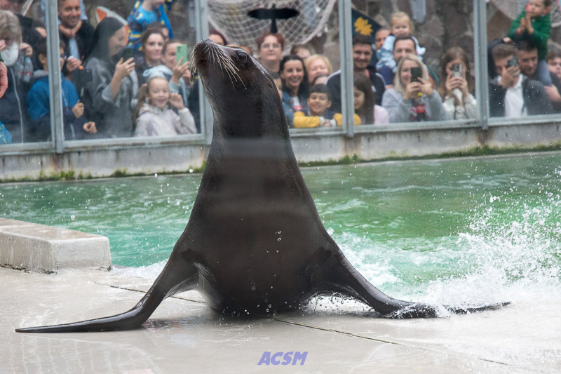 acsm_zoo0125