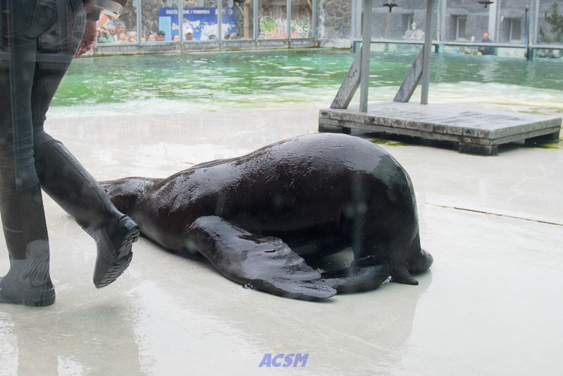 acsm_zoo0130
