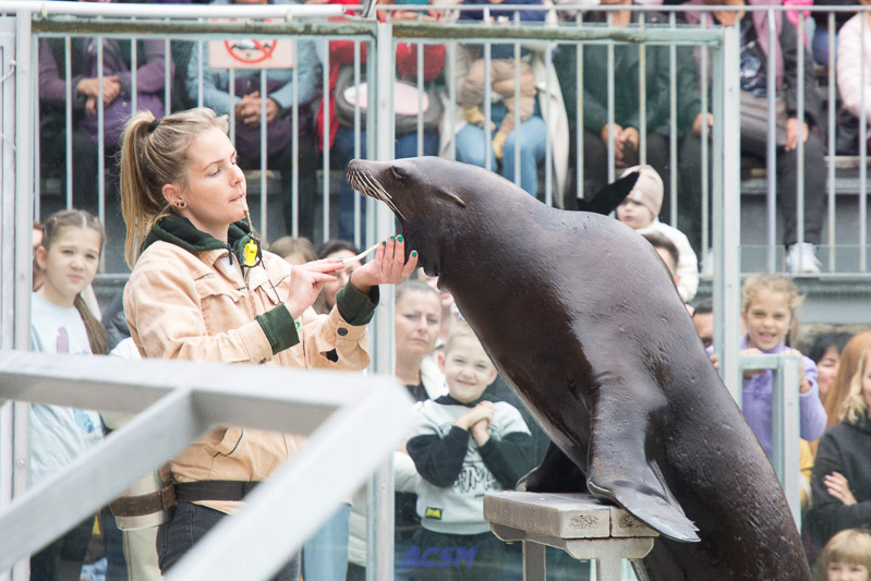acsm_zoo0131