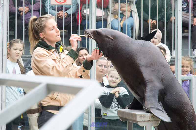 acsm_zoo0132