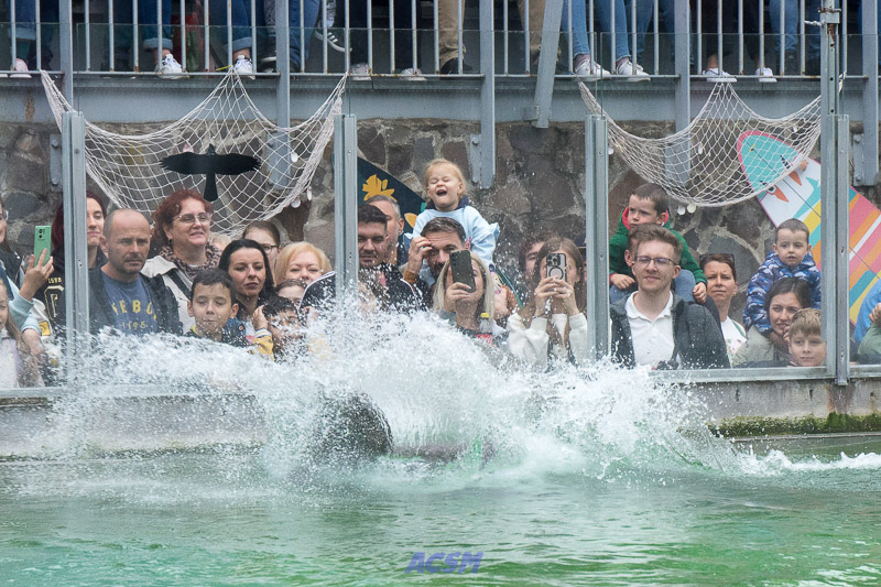 acsm_zoo0134