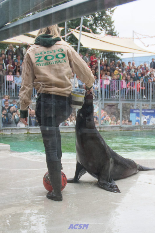 acsm_zoo0135