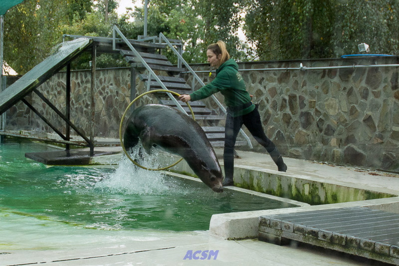 acsm_zoo0138