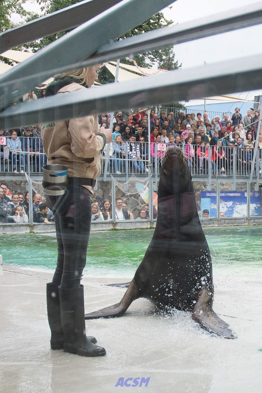 acsm_zoo0140