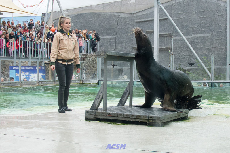 acsm_zoo0141