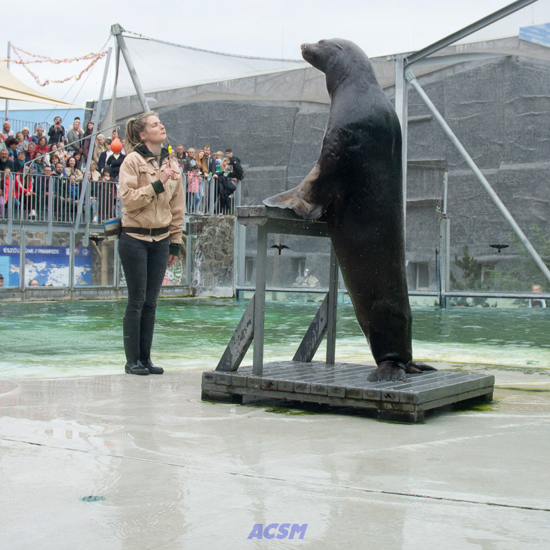 acsm_zoo0142