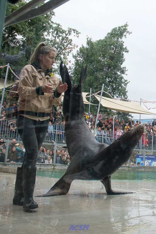 acsm_zoo0143