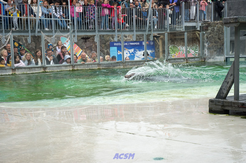 acsm_zoo0144
