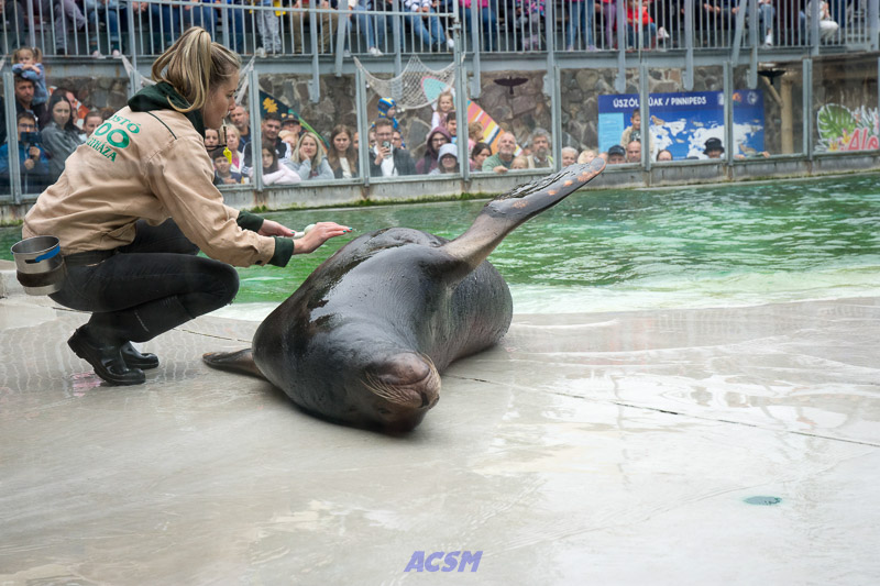 acsm_zoo0145