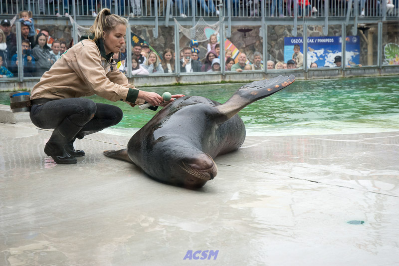 acsm_zoo0146