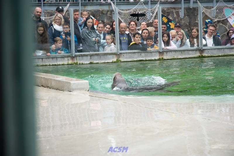 acsm_zoo0147