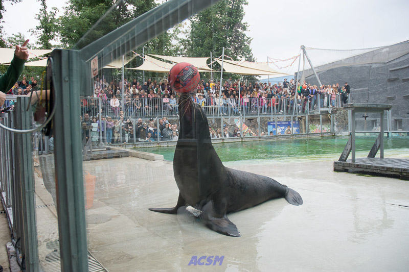 acsm_zoo0149
