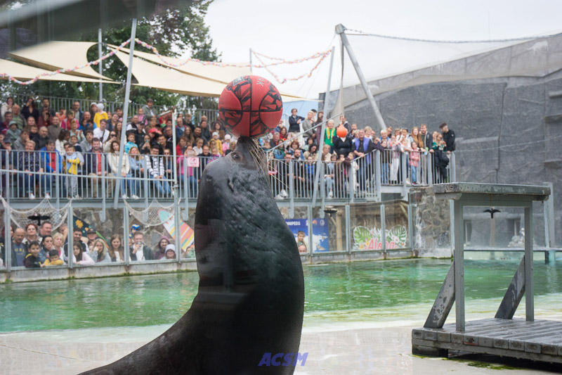 acsm_zoo0150