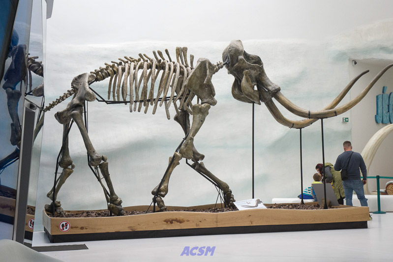 acsm_zoo0154