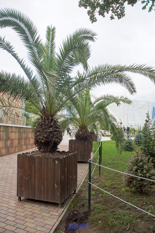 acsm_zoo0163