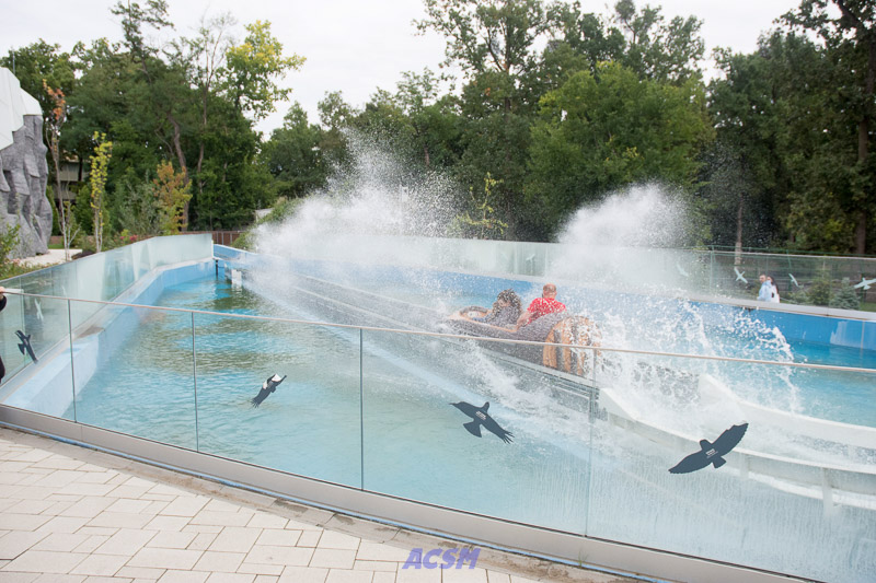 acsm_zoo0165