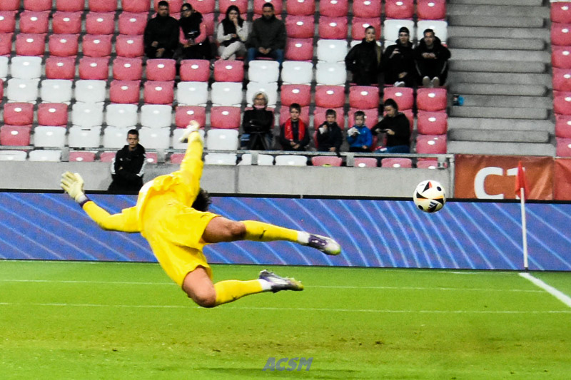 DSC_3776