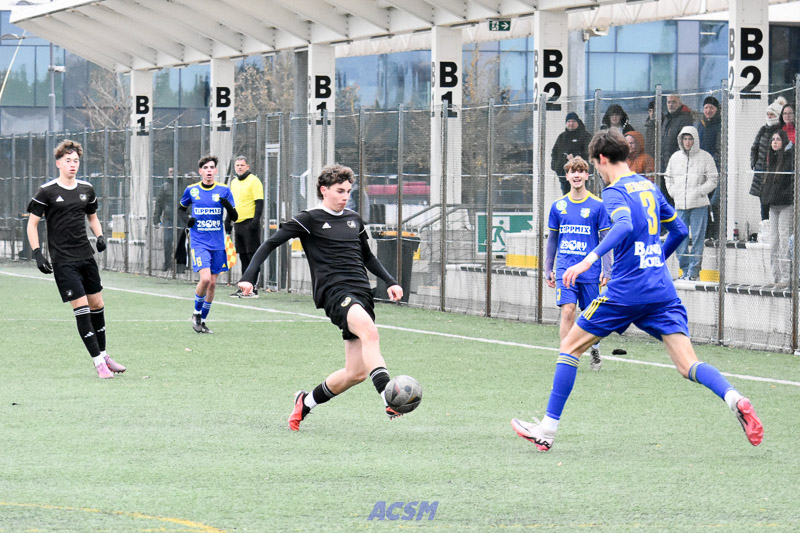 acsm_0133